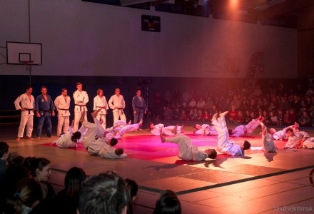 Sportshow SV Fun-Ball - Judo