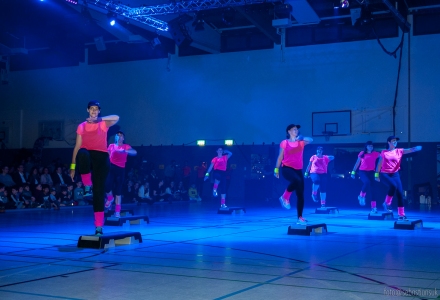 Sportshow SV Fun-Ball - Step-Aerobic